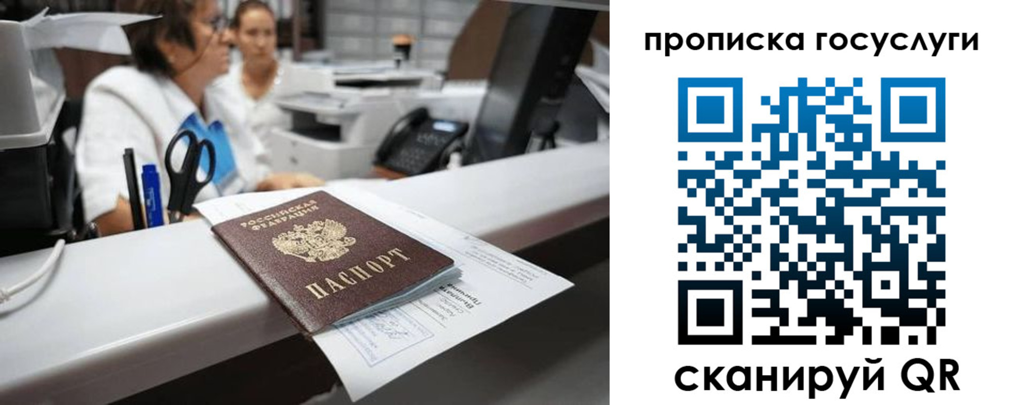 где прописаться в Ельне